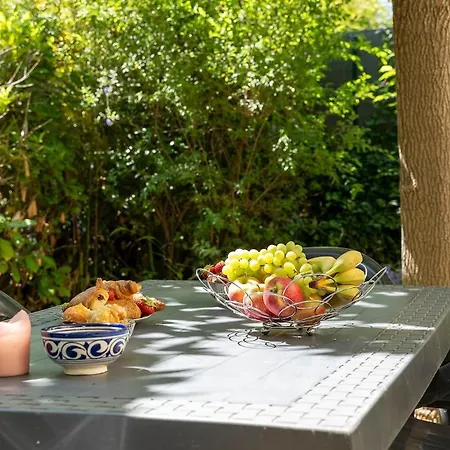 Lägenhet L'oasis, 3 Chambres, Climatisation Et Jardin Prive Montpellier